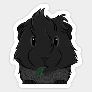 Black Roan Abyssinian Guinea Pig Sticker